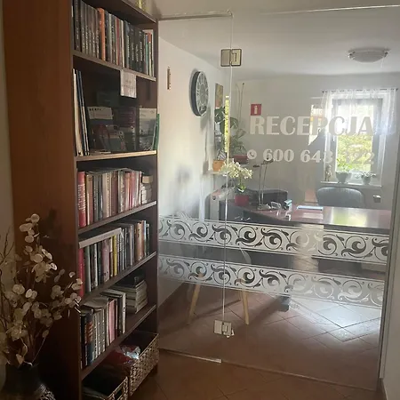 Vega צ'ארזיקובי