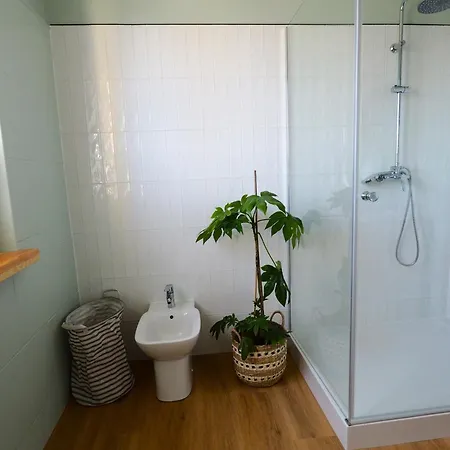 Vega Homestay