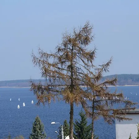 Vega * צ'ארזיקובי